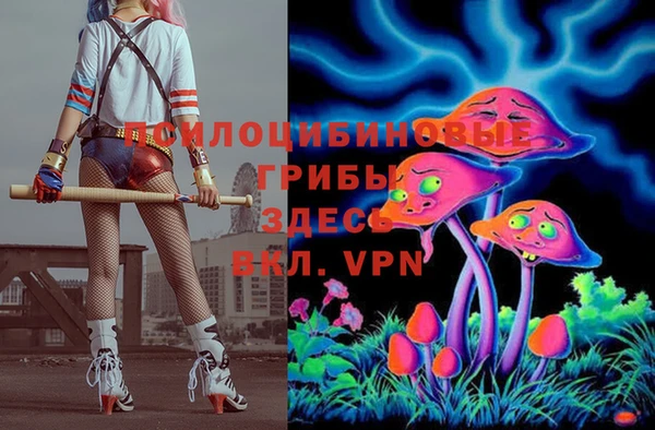 МДПВ Михайловск