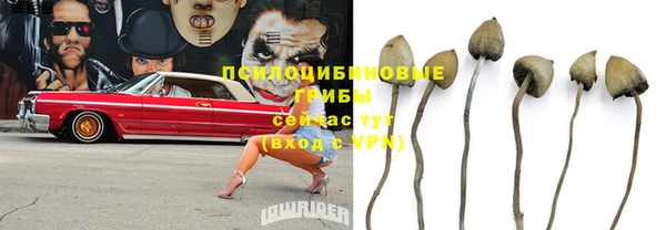 МДПВ Михайловск