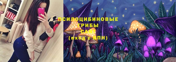 МДПВ Михайловск